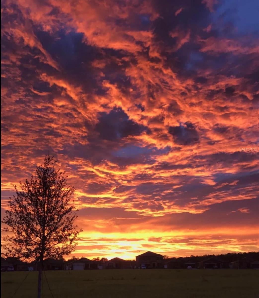 Image 43 of 54 For 988 Scarlet Plume Lane