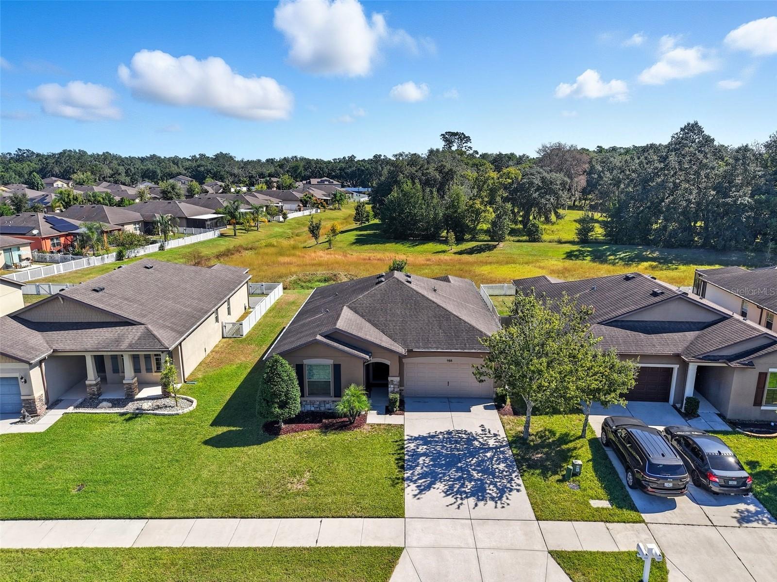 Image 44 of 54 For 988 Scarlet Plume Lane