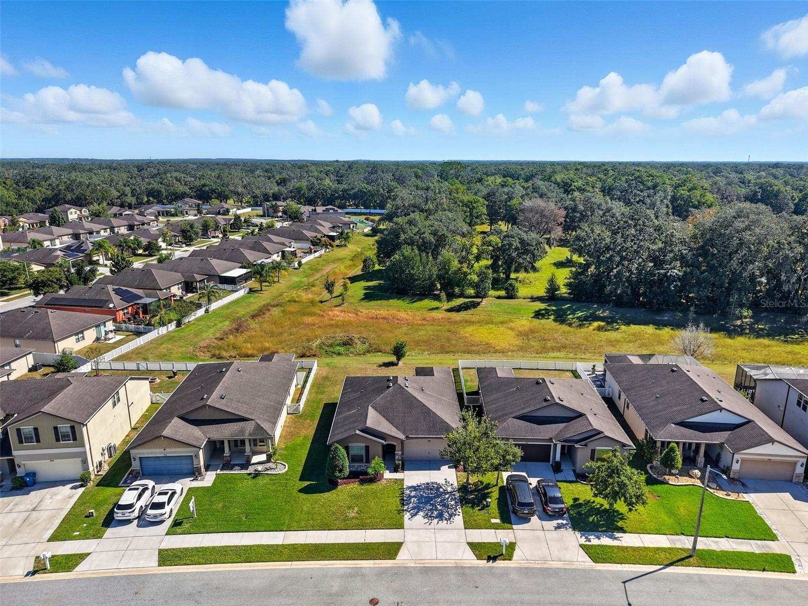 Image 45 of 54 For 988 Scarlet Plume Lane