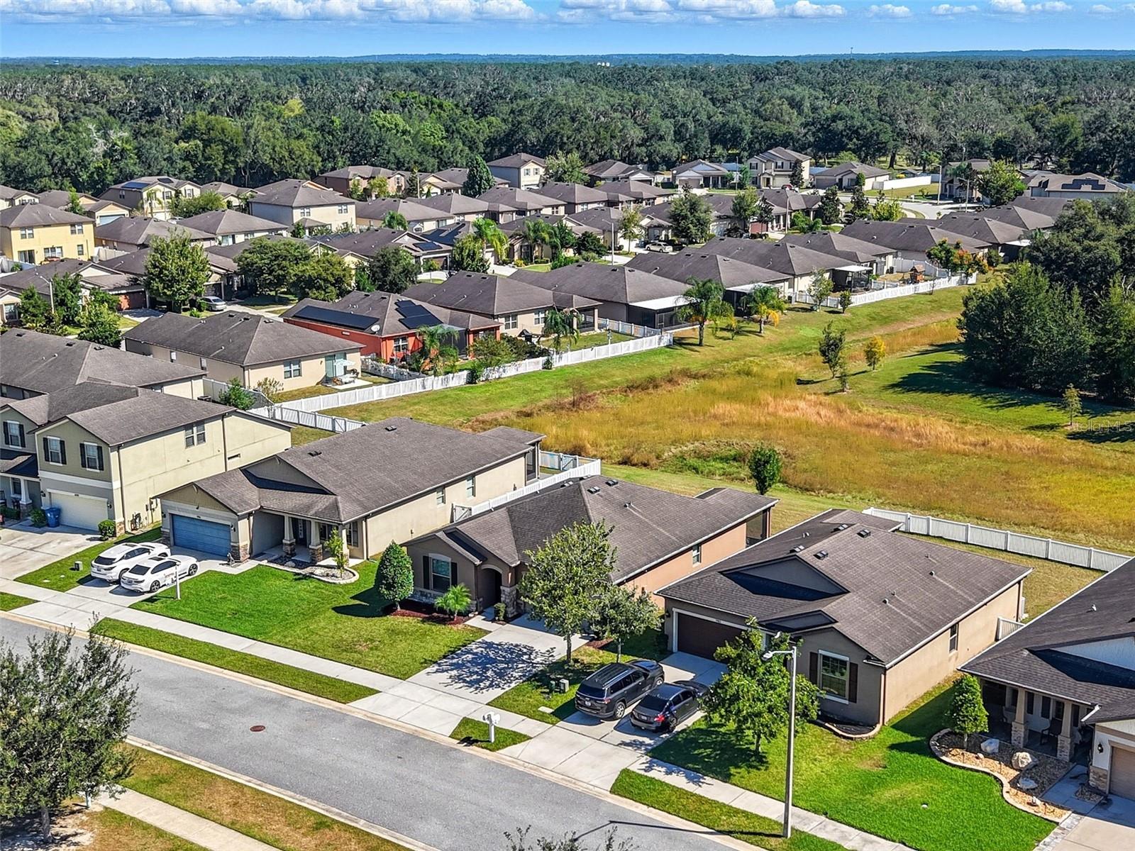 Image 47 of 54 For 988 Scarlet Plume Lane