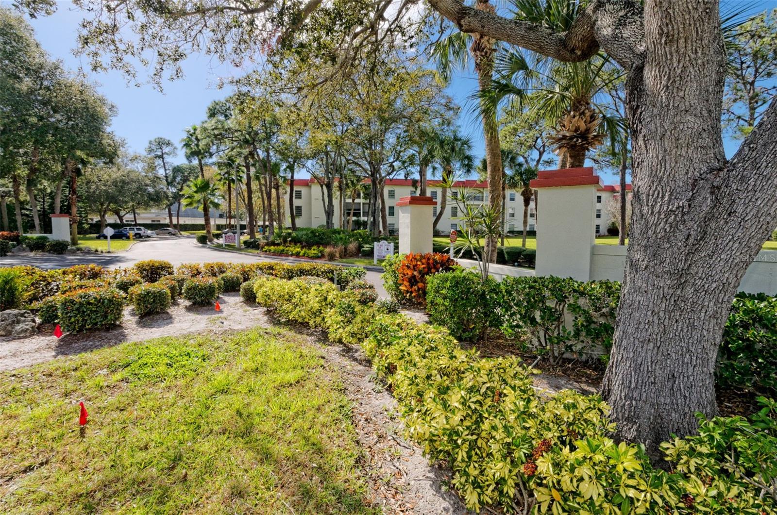 Image 60 of 100 For 2700 Bayshore Boulevard 539