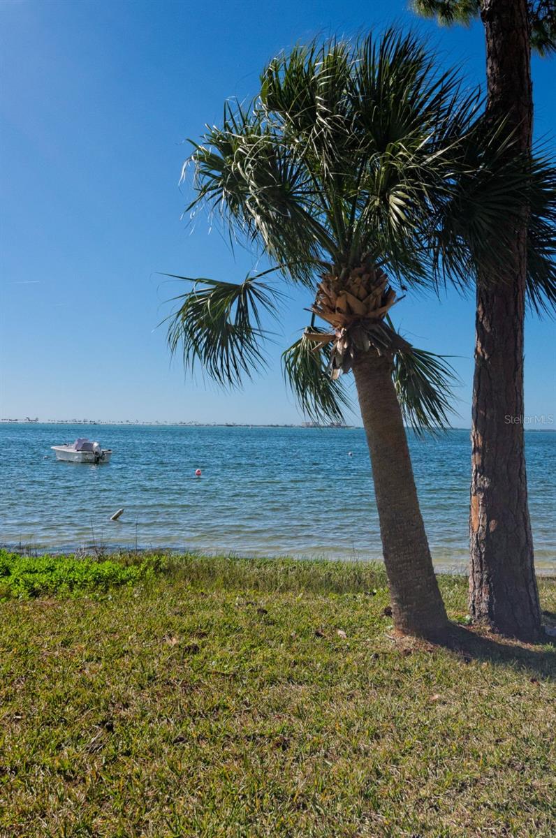 Image 86 of 100 For 2700 Bayshore Boulevard 539