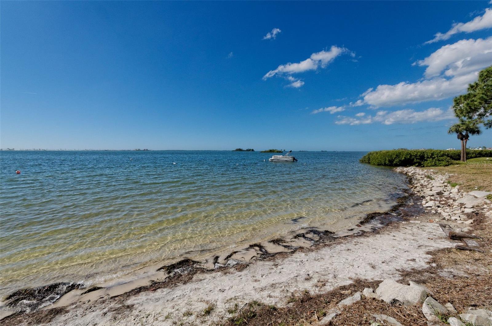 Image 88 of 100 For 2700 Bayshore Boulevard 539