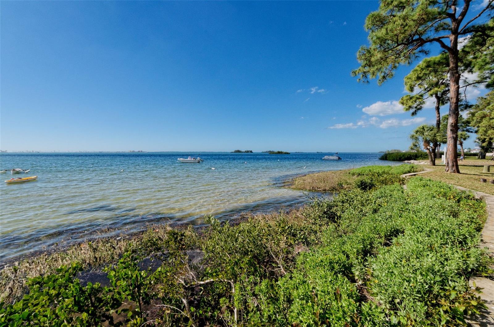 Image 93 of 100 For 2700 Bayshore Boulevard 539