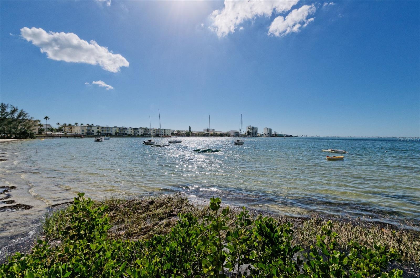 Image 94 of 100 For 2700 Bayshore Boulevard 539