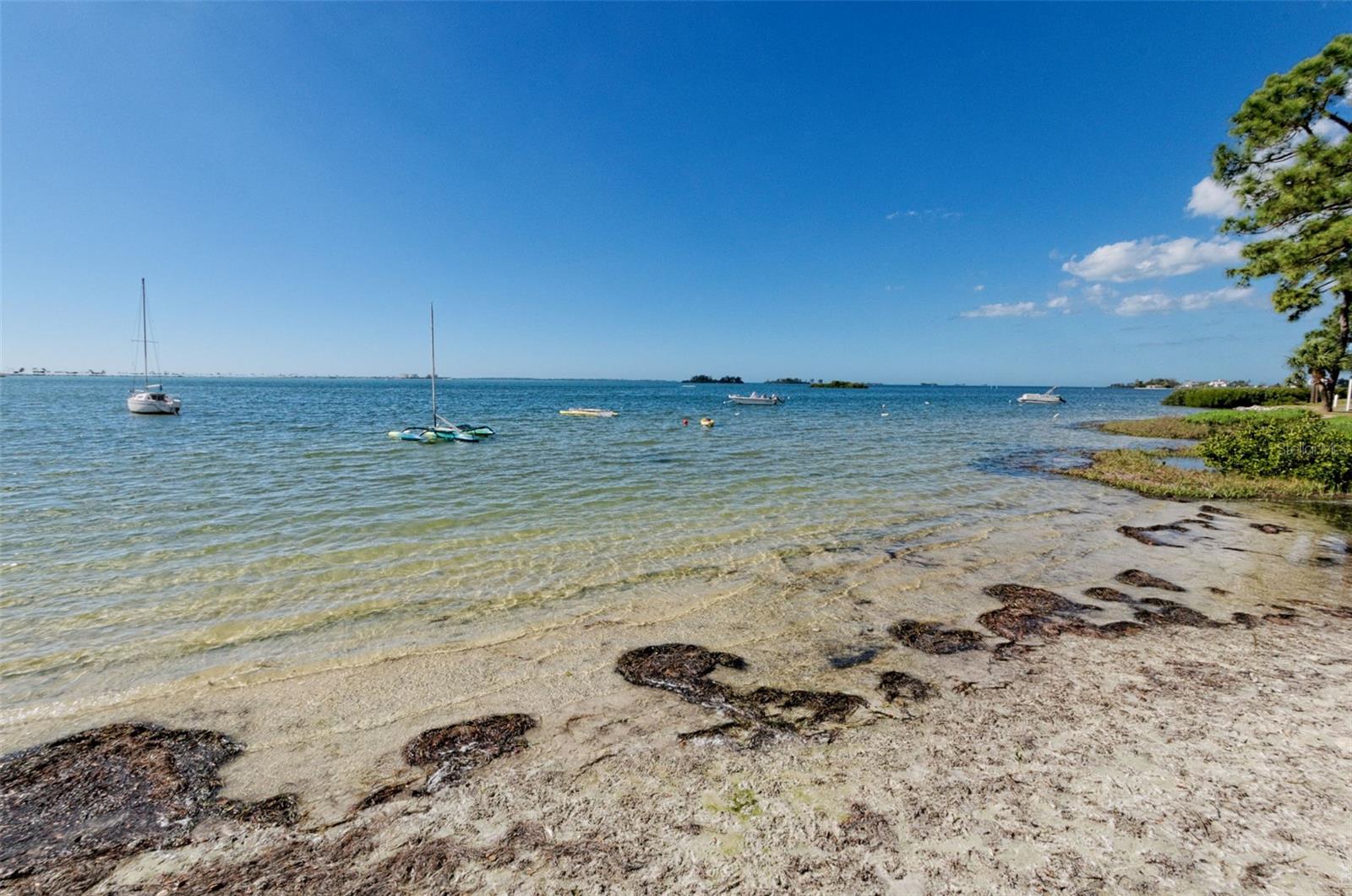 Image 97 of 100 For 2700 Bayshore Boulevard 539