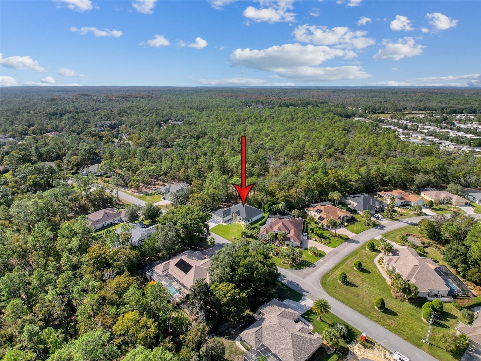 Image 79 of 94 For 88 Daisy Street