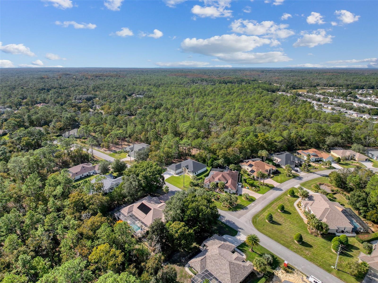 Image 80 of 94 For 88 Daisy Street