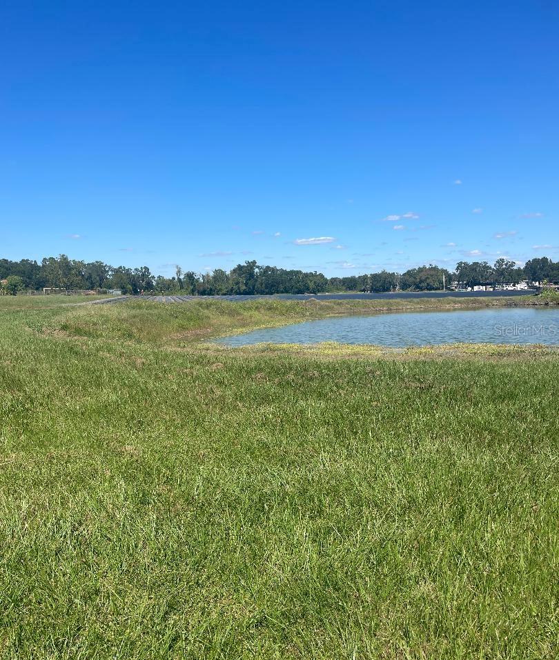 Details for  Sydney Road , DOVER, FL 33527