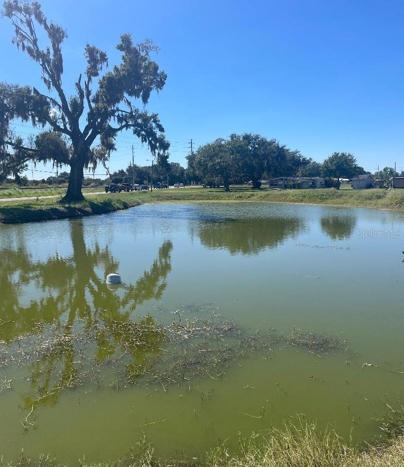 Image 2 of 7 For  Sydney Road 