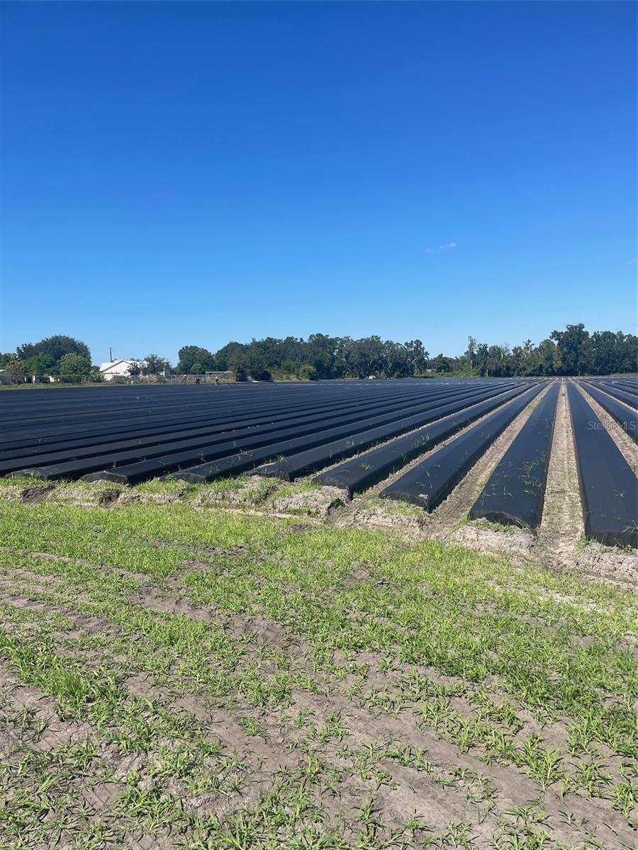 Image 5 of 7 For  Sydney Road 