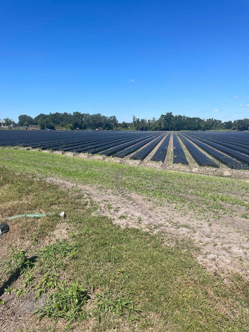 Image 6 of 7 For  Sydney Road 