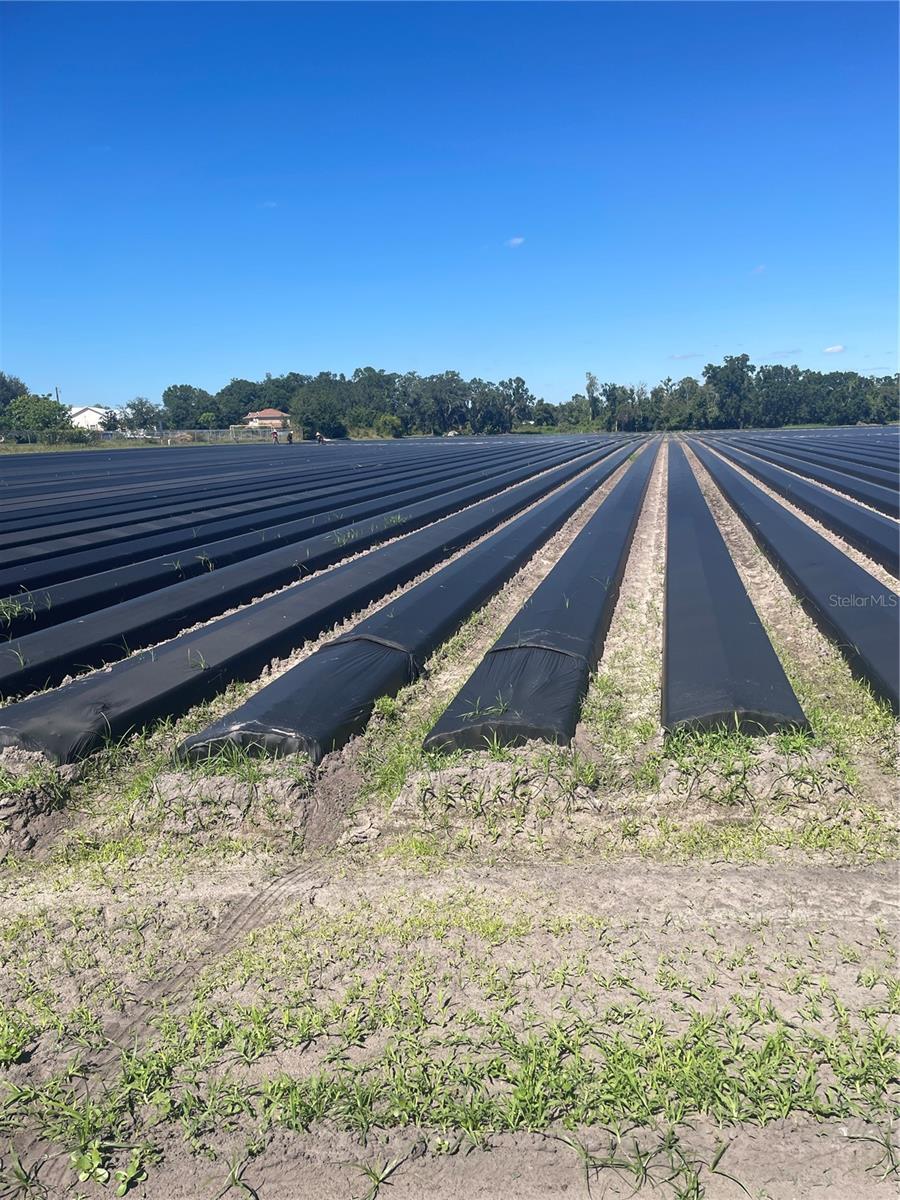 Image 7 of 7 For  Sydney Road 