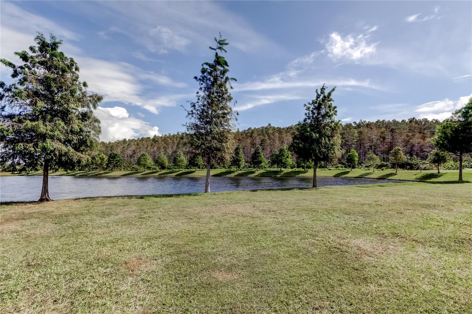 Image 56 of 56 For 2182 Great Sapphire Lane