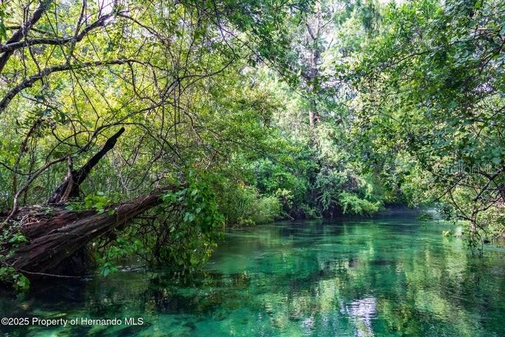 Image 2 of 37 For 6448-1 Richard Drive