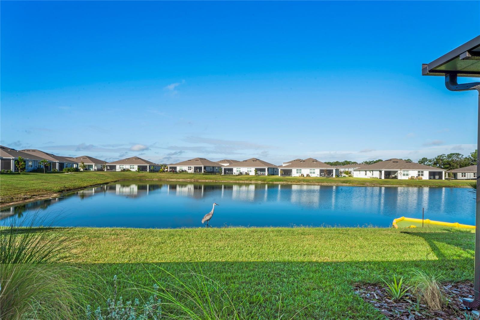 Image 7 of 67 For 31511 Ancient Sage Road