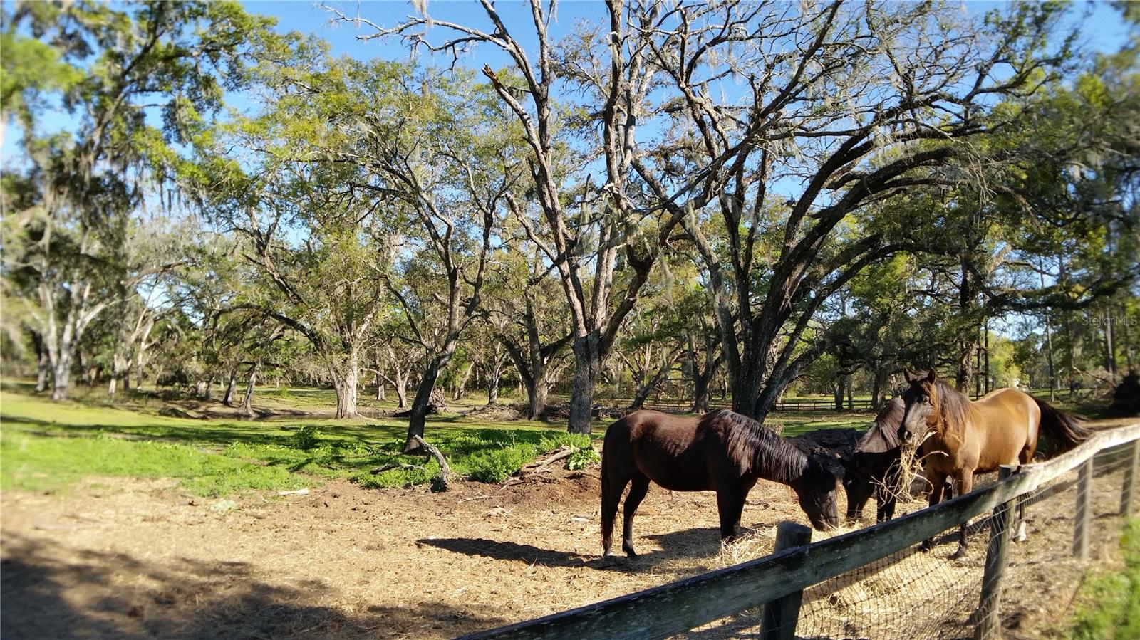 Image 12 of 18 For 18635 Phillips Road