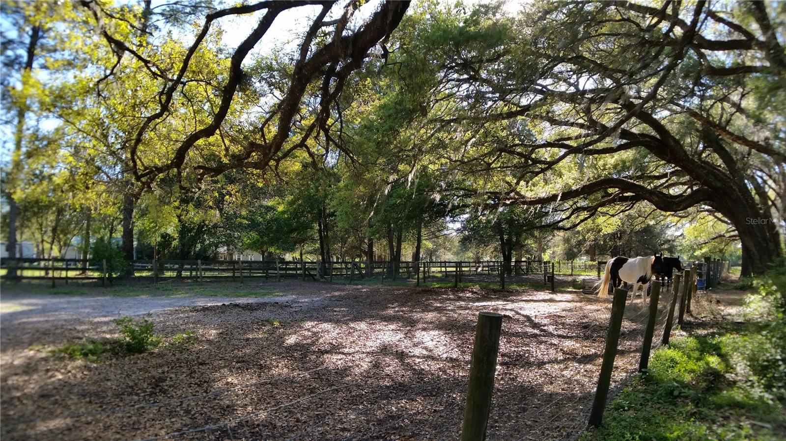 Image 13 of 18 For 18635 Phillips Road