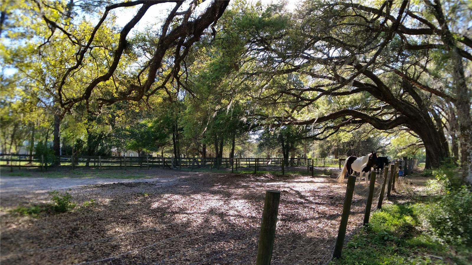 Image 14 of 18 For 18635 Phillips Road