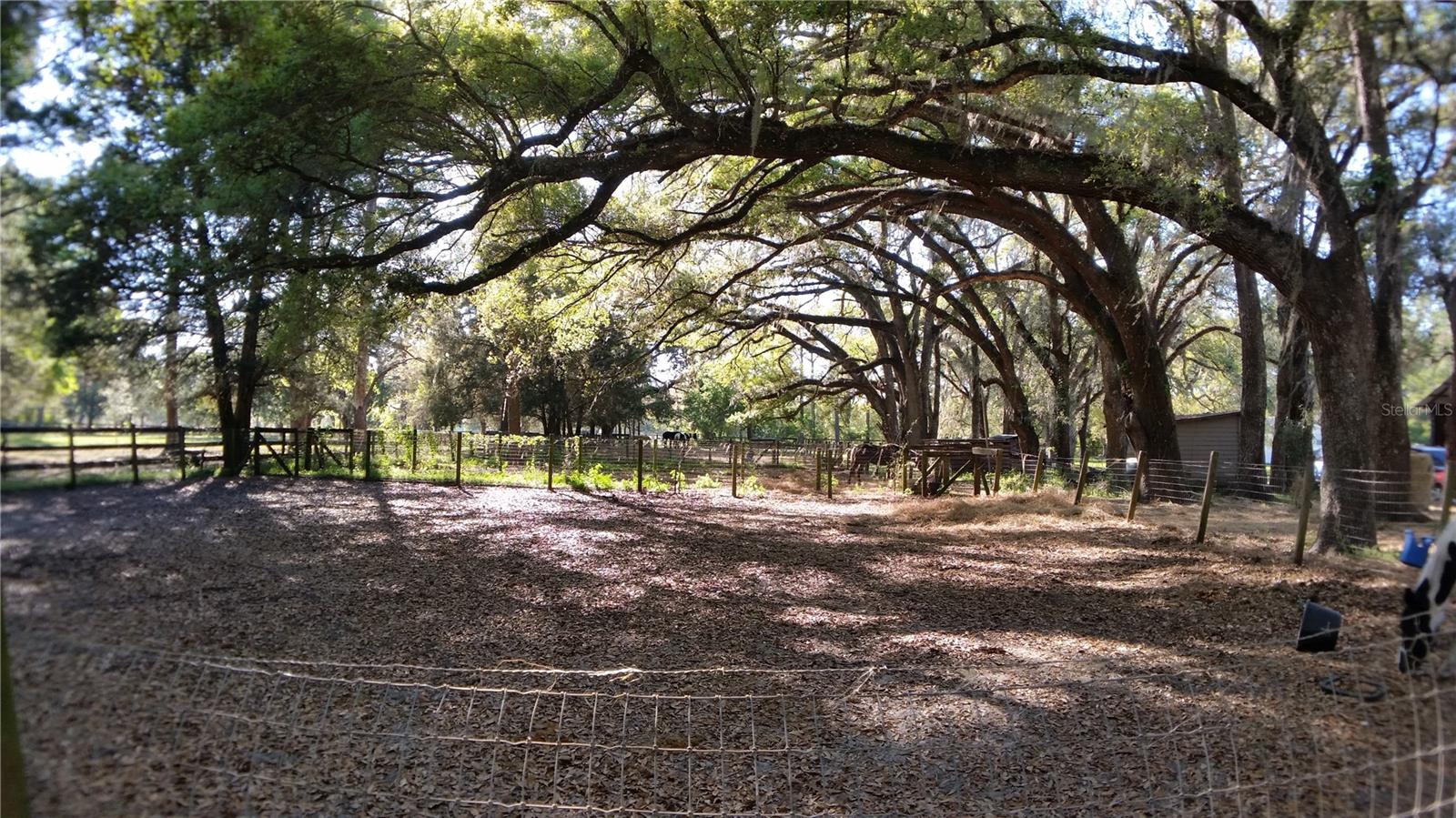 Image 17 of 18 For 18635 Phillips Road