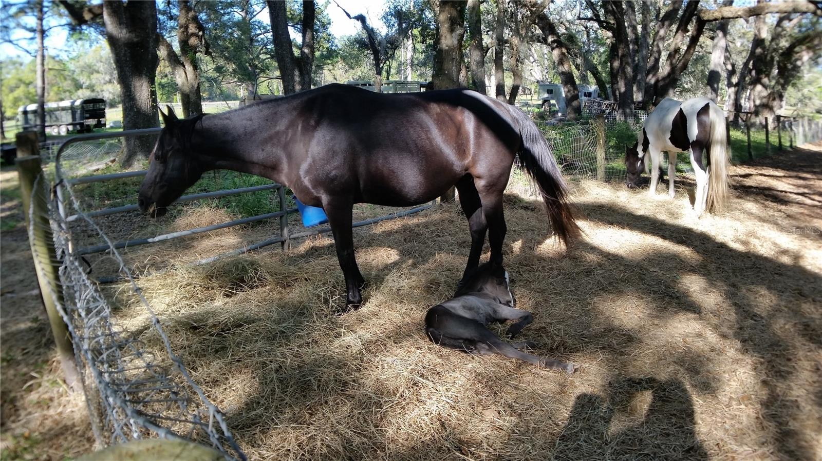 Image 18 of 18 For 18635 Phillips Road