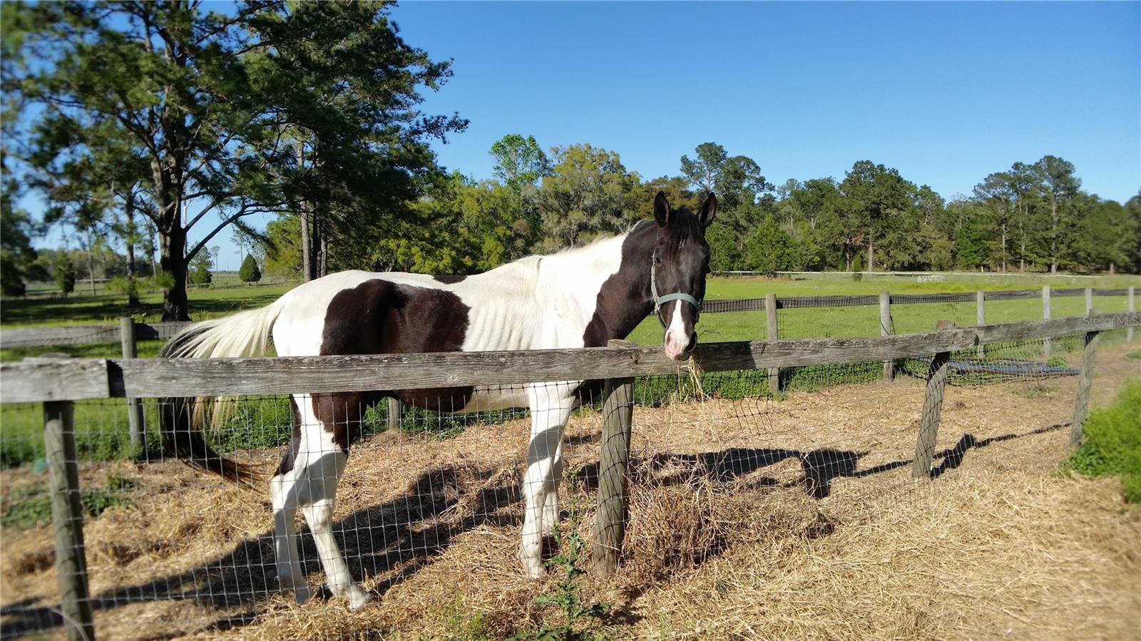 Image 9 of 18 For 18635 Phillips Road