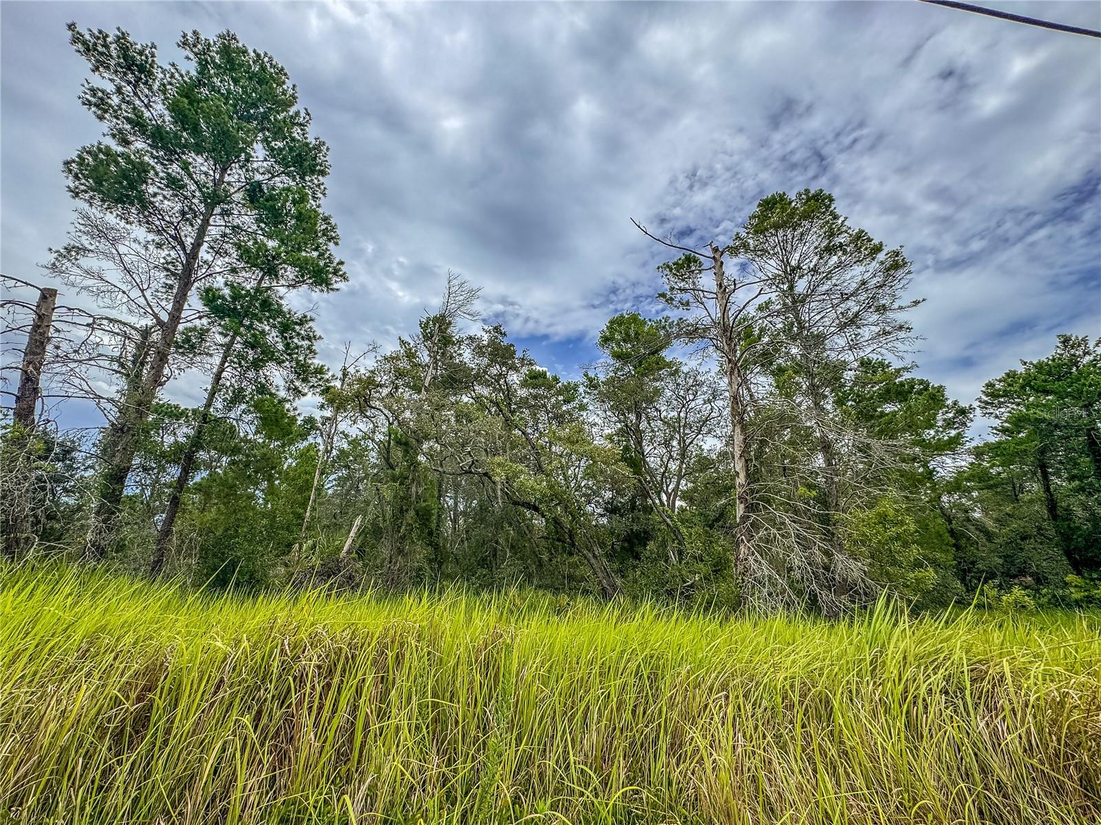 Details for 0 Bahama Swallow Avenue 9, WEEKI WACHEE, FL 34613