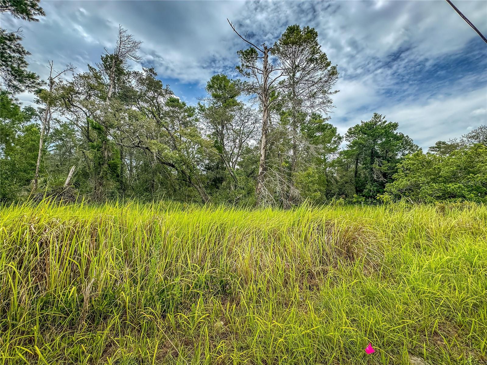 Image 10 of 19 For 0 Bahama Swallow Avenue 9