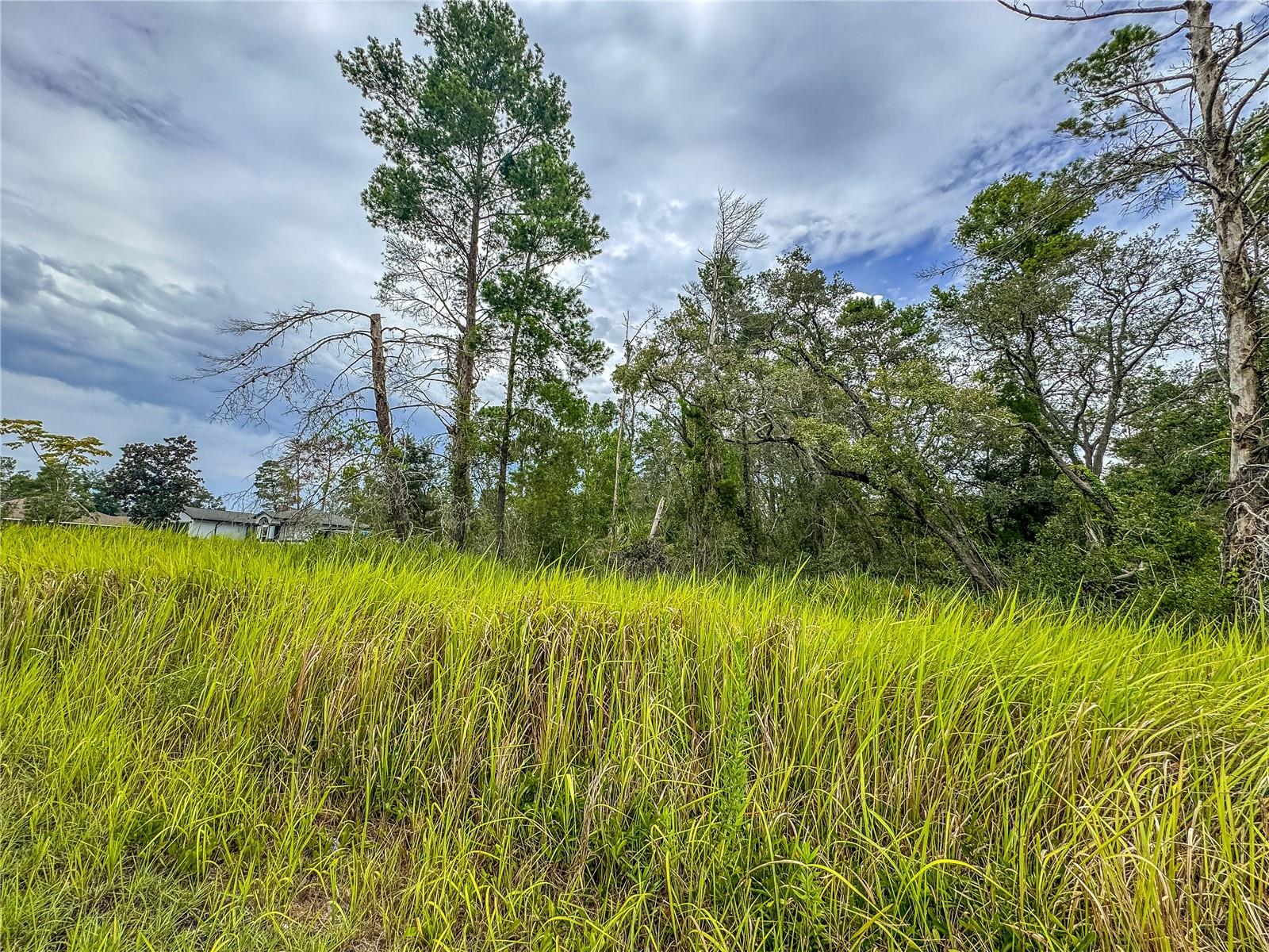 Image 11 of 19 For 0 Bahama Swallow Avenue 9
