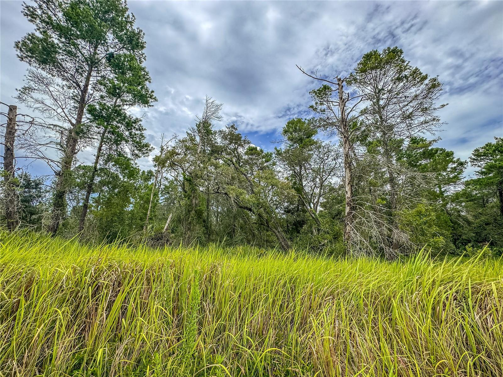 Image 12 of 19 For 0 Bahama Swallow Avenue 9
