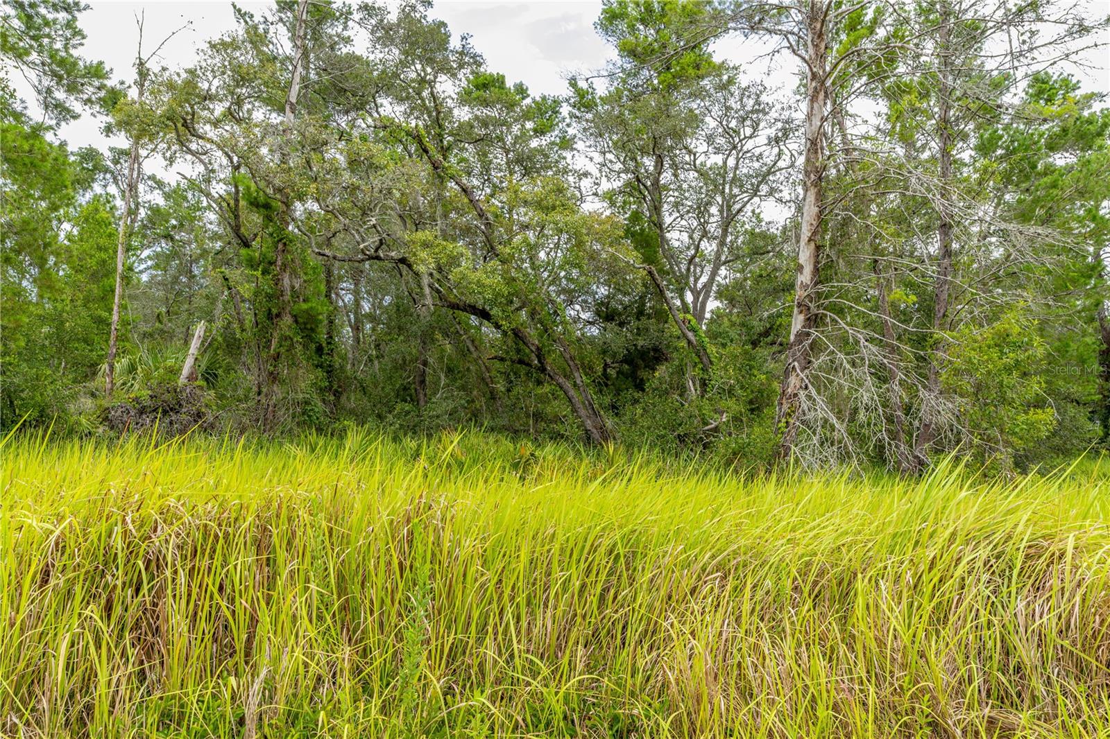 Image 4 of 19 For 0 Bahama Swallow Avenue 9