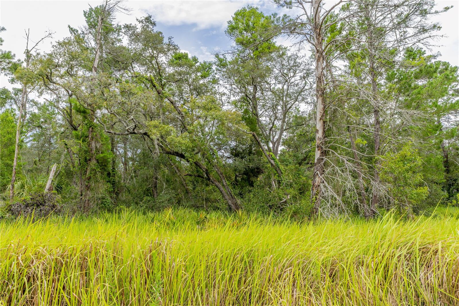 Image 5 of 19 For 0 Bahama Swallow Avenue 9