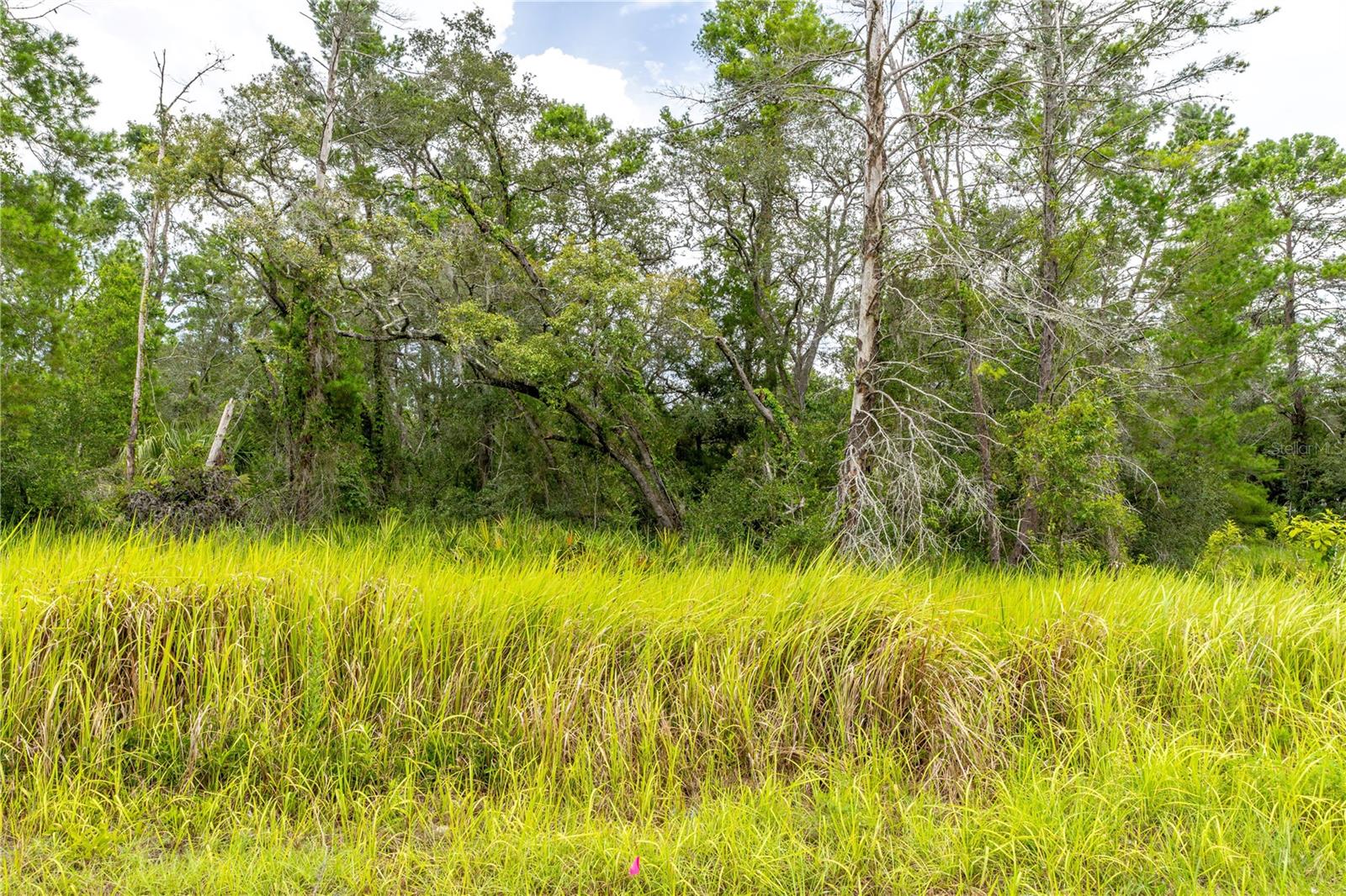 Image 8 of 19 For 0 Bahama Swallow Avenue 9