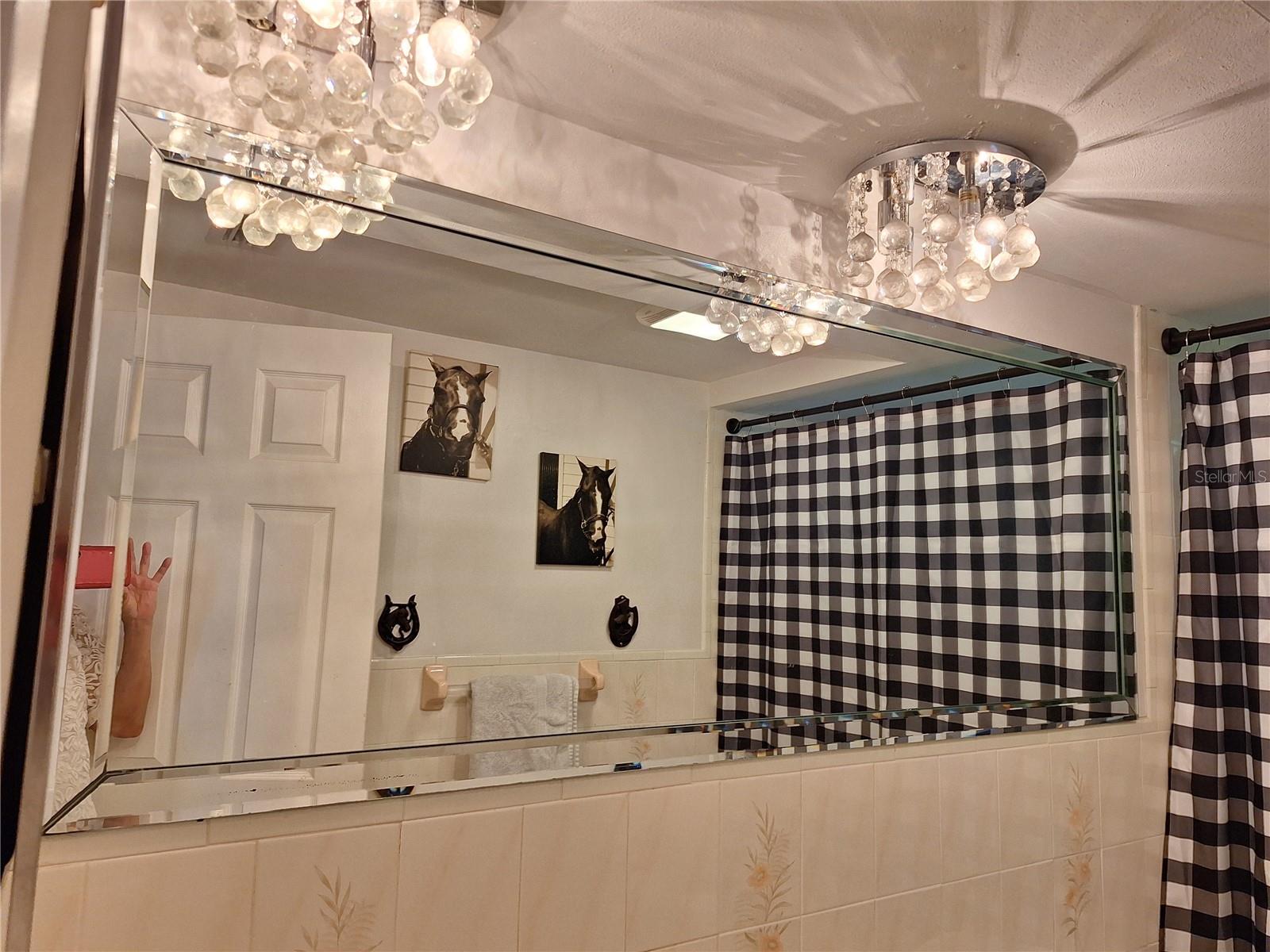 Listing photo id 39 for 9415 Indale Drive