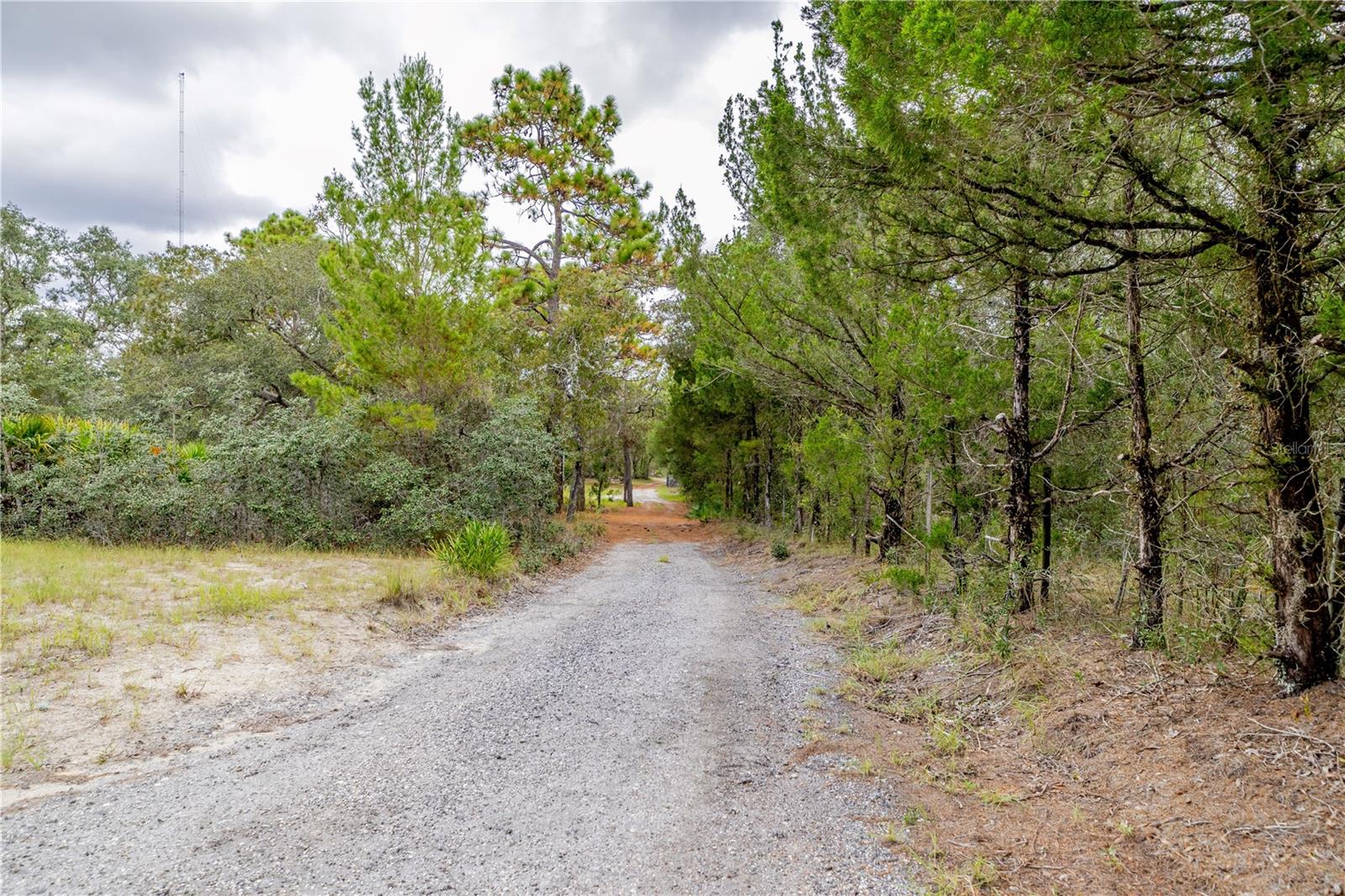 Image 20 of 75 For 12060 Ehrenwald Drive