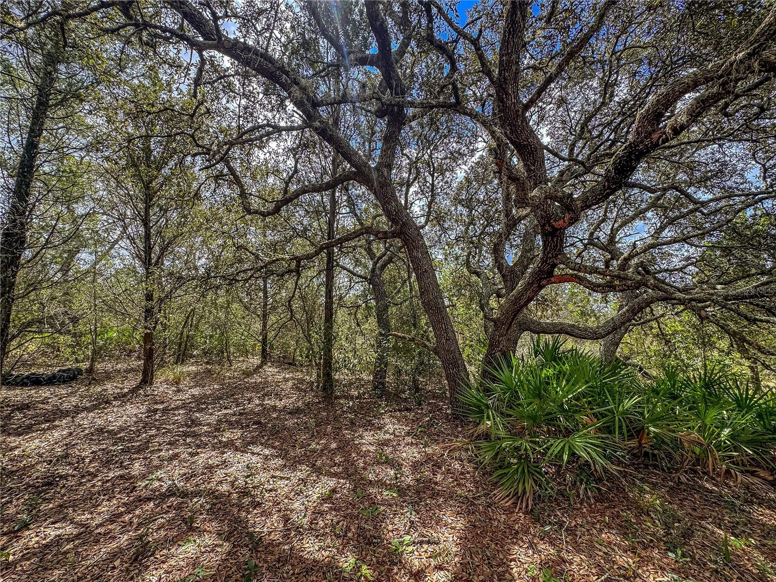 Image 49 of 75 For 12060 Ehrenwald Drive