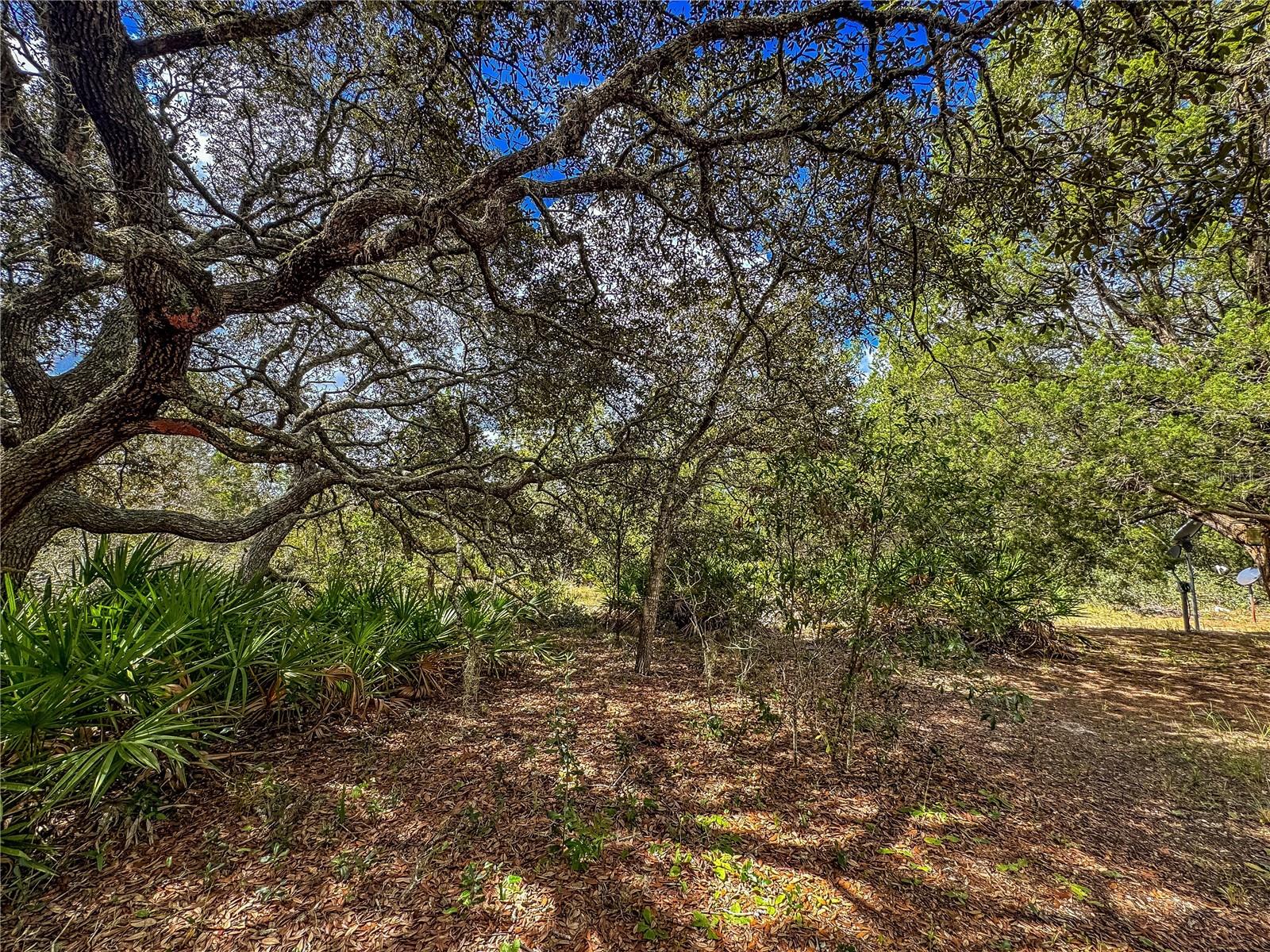 Image 50 of 75 For 12060 Ehrenwald Drive