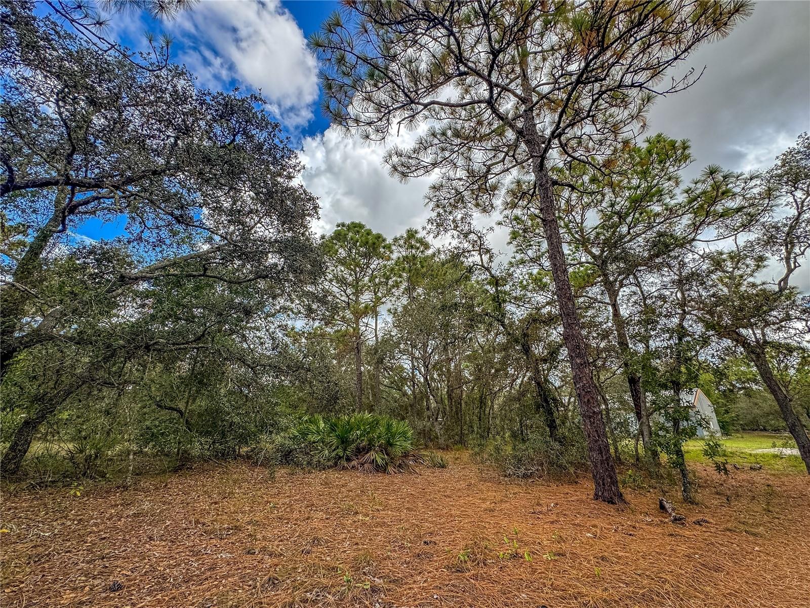 Image 57 of 75 For 12060 Ehrenwald Drive