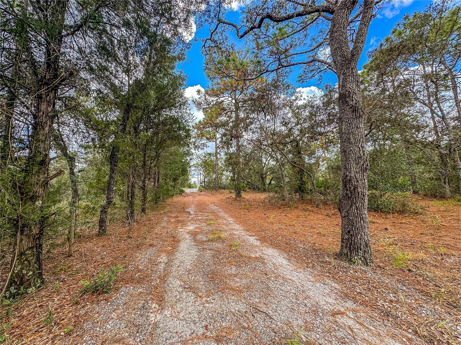 Image 58 of 75 For 12060 Ehrenwald Drive