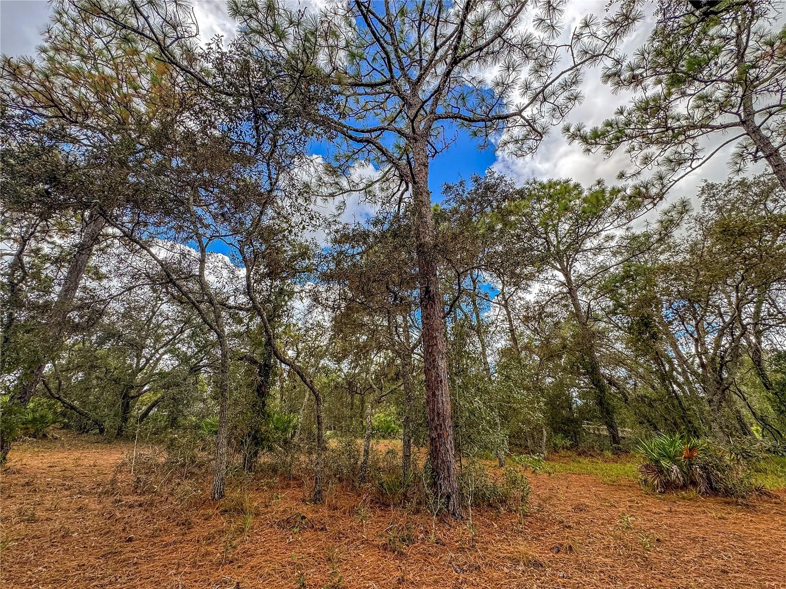 Image 65 of 75 For 12060 Ehrenwald Drive