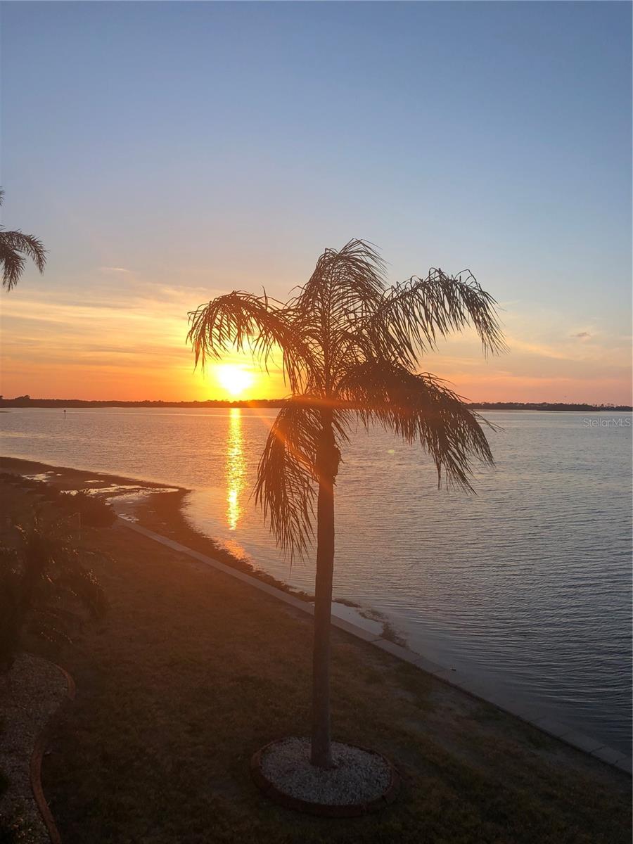 Image 2 of 34 For 7 Dunoon Place 203