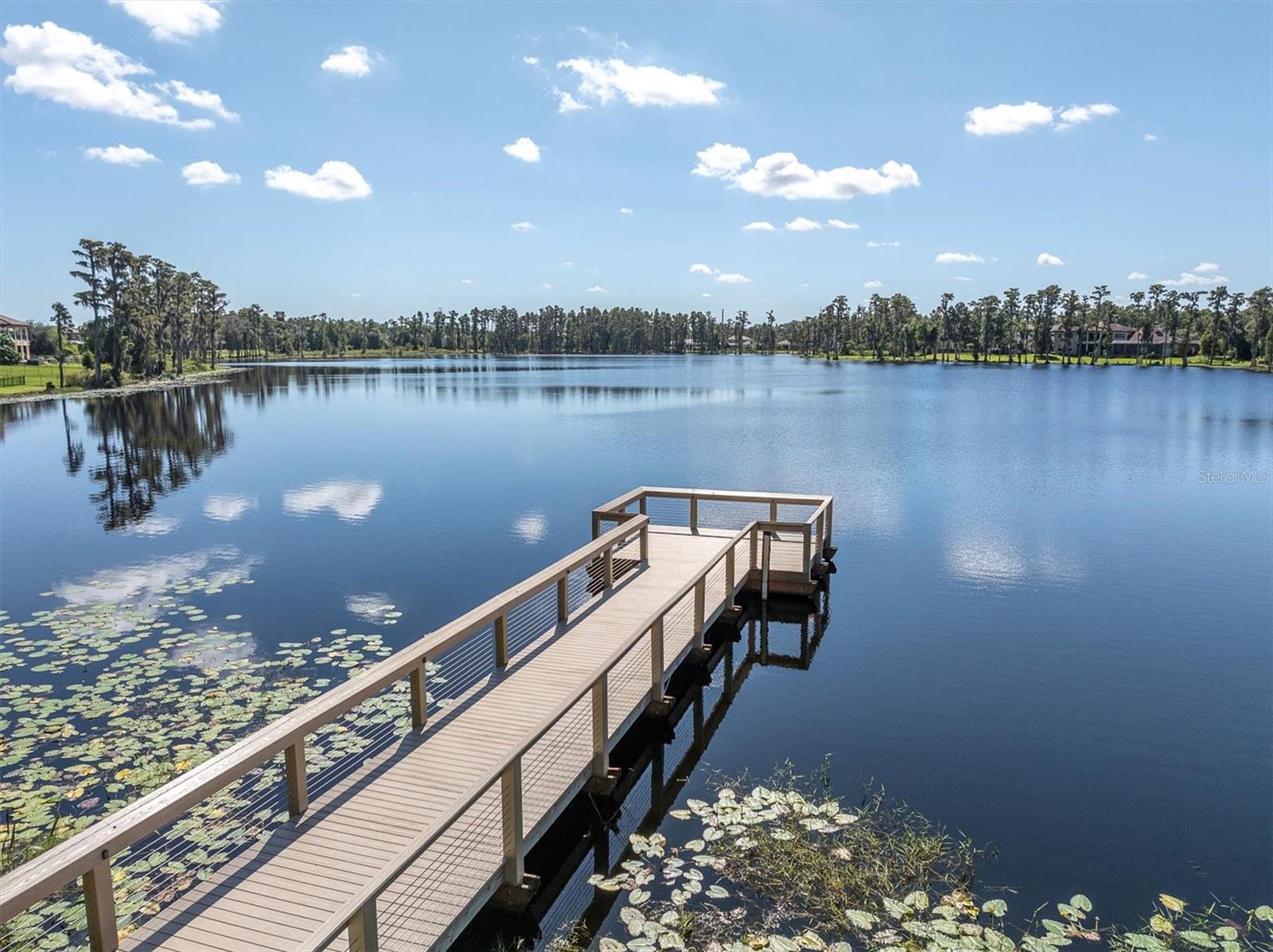 Listing photo id 4 for 1403 Merry Water Drive