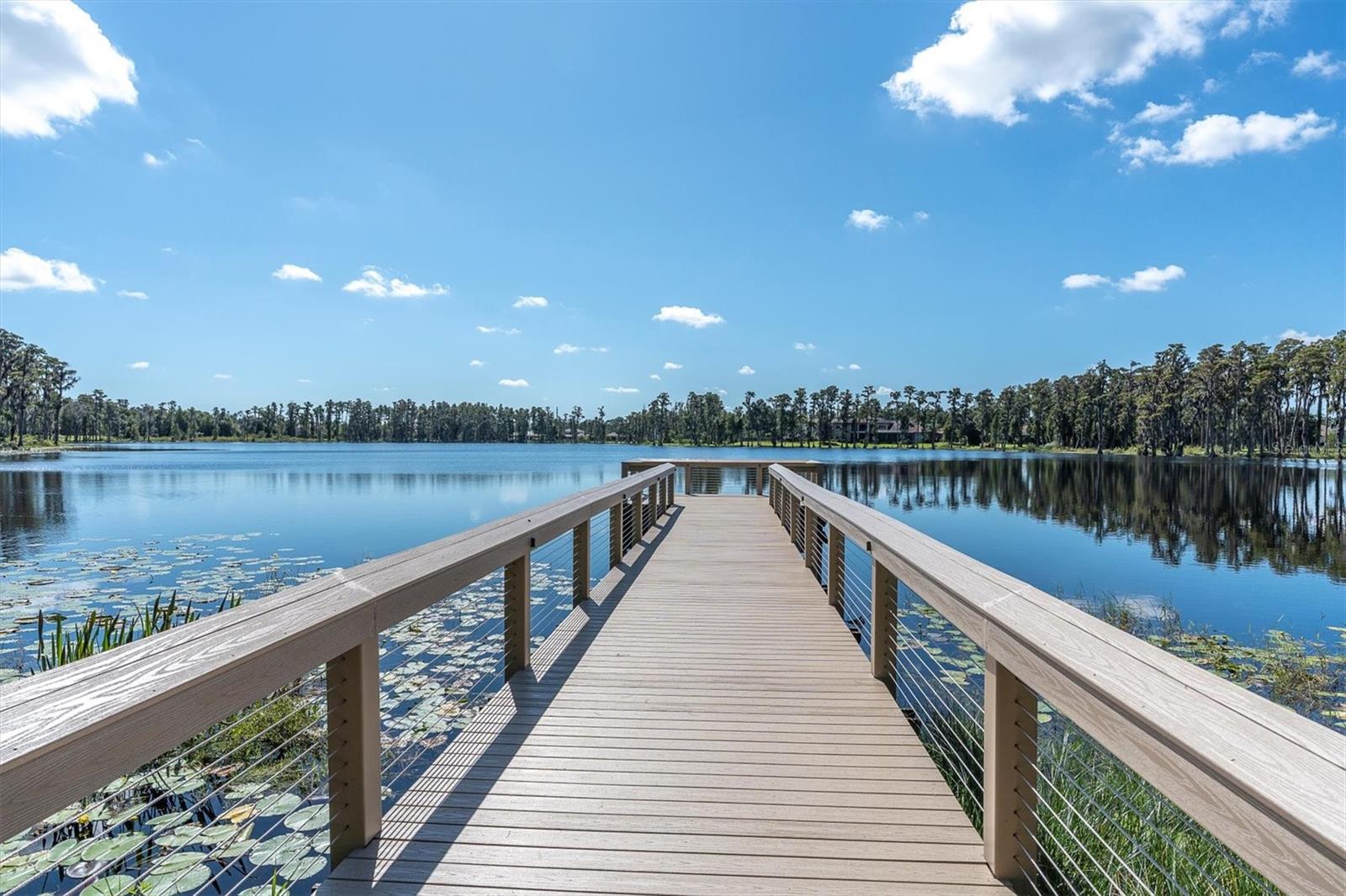 Listing photo id 60 for 1403 Merry Water Drive
