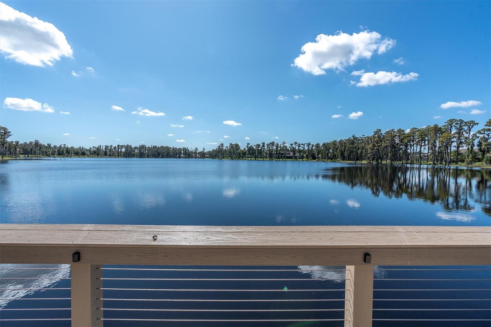 Listing photo id 61 for 1403 Merry Water Drive