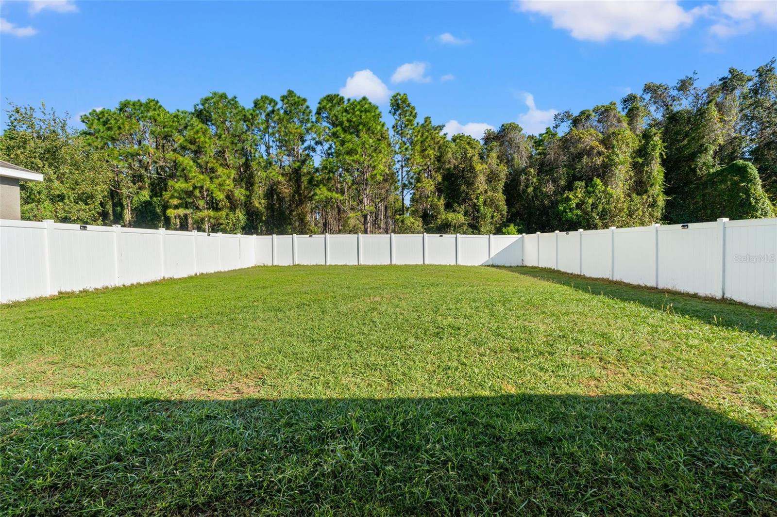 Image 25 of 28 For 30745 Satinleaf Run