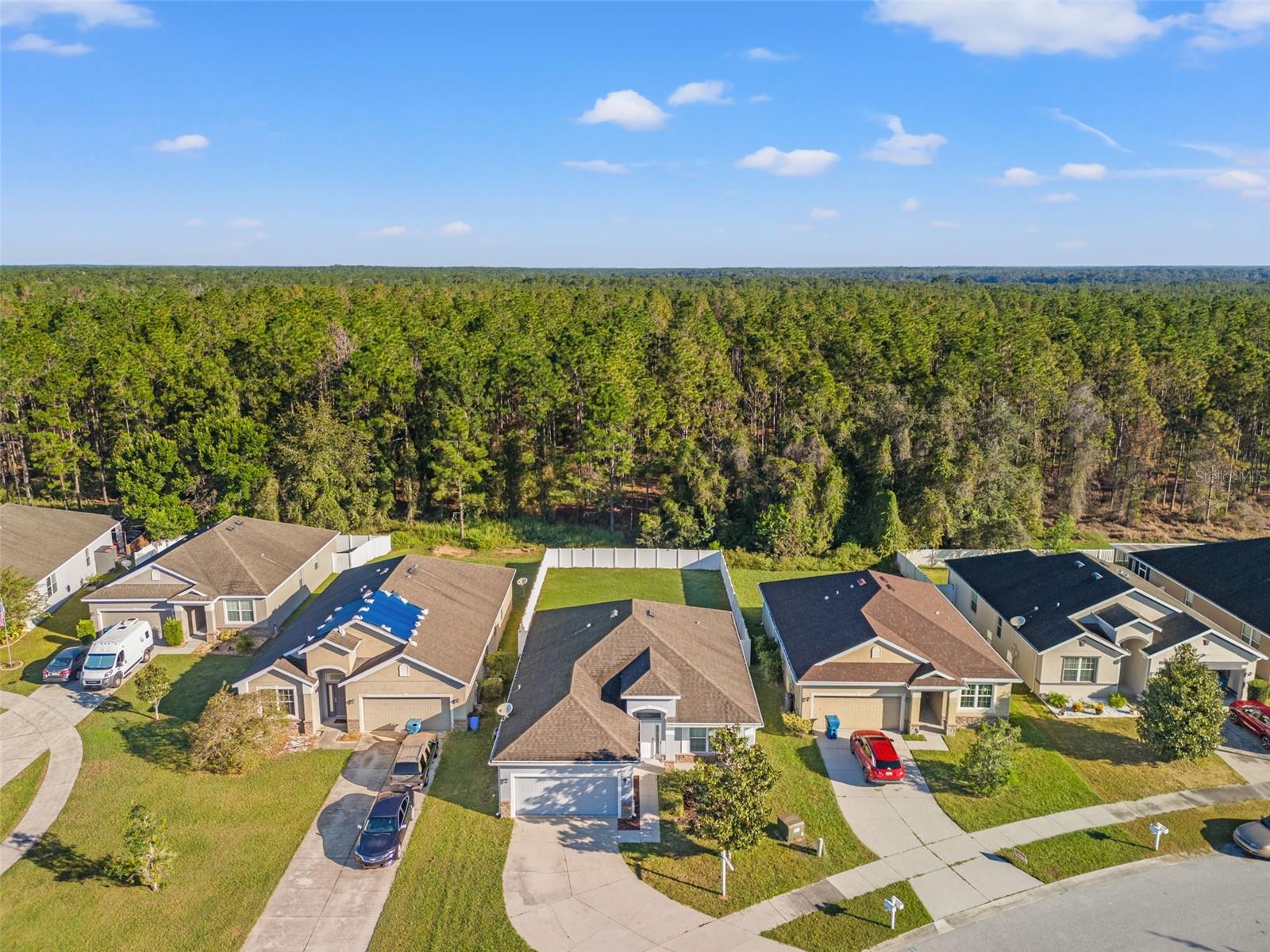 Image 3 of 28 For 30745 Satinleaf Run