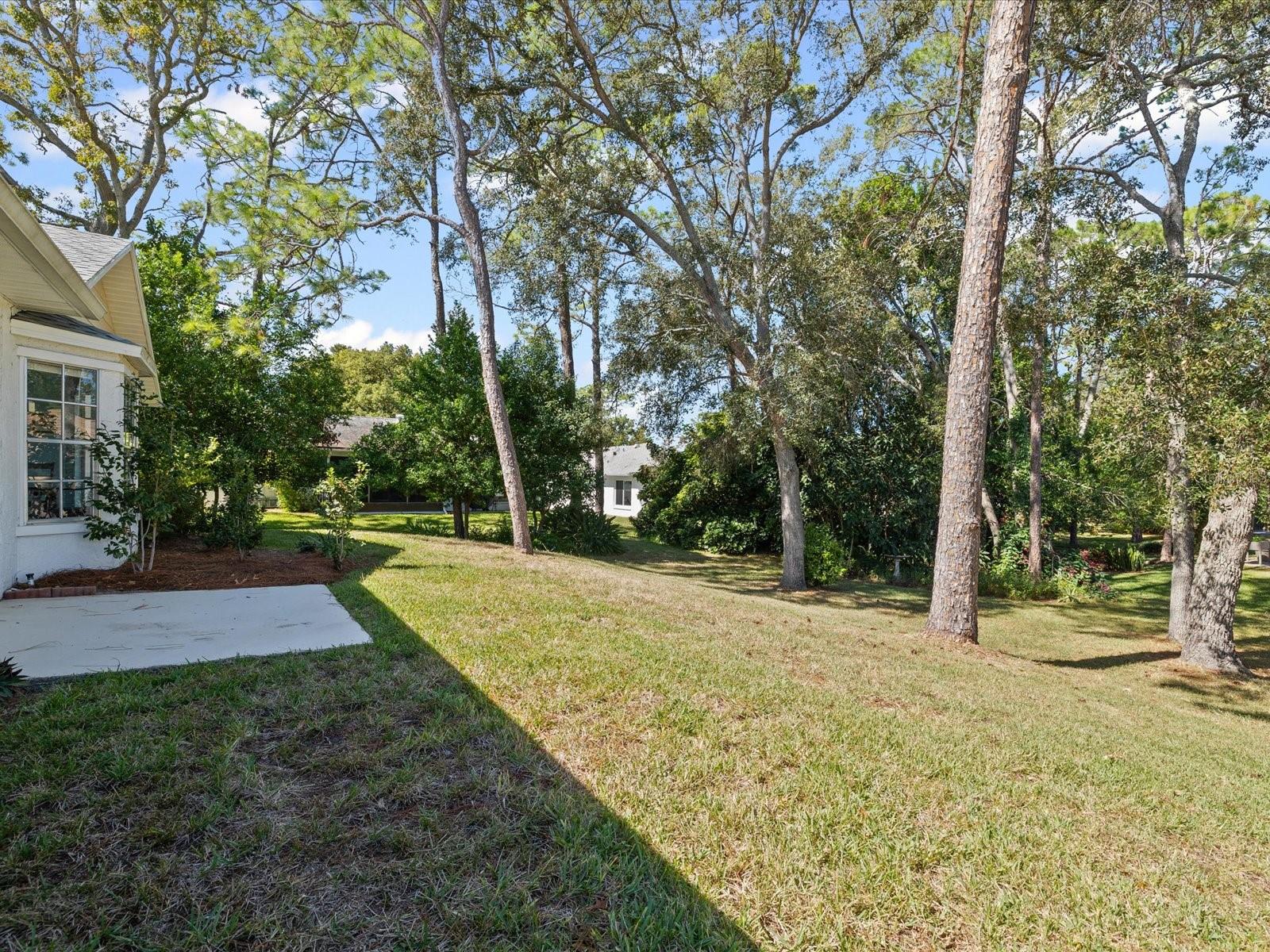 Image 36 of 96 For 6393 Lost Tree Lane