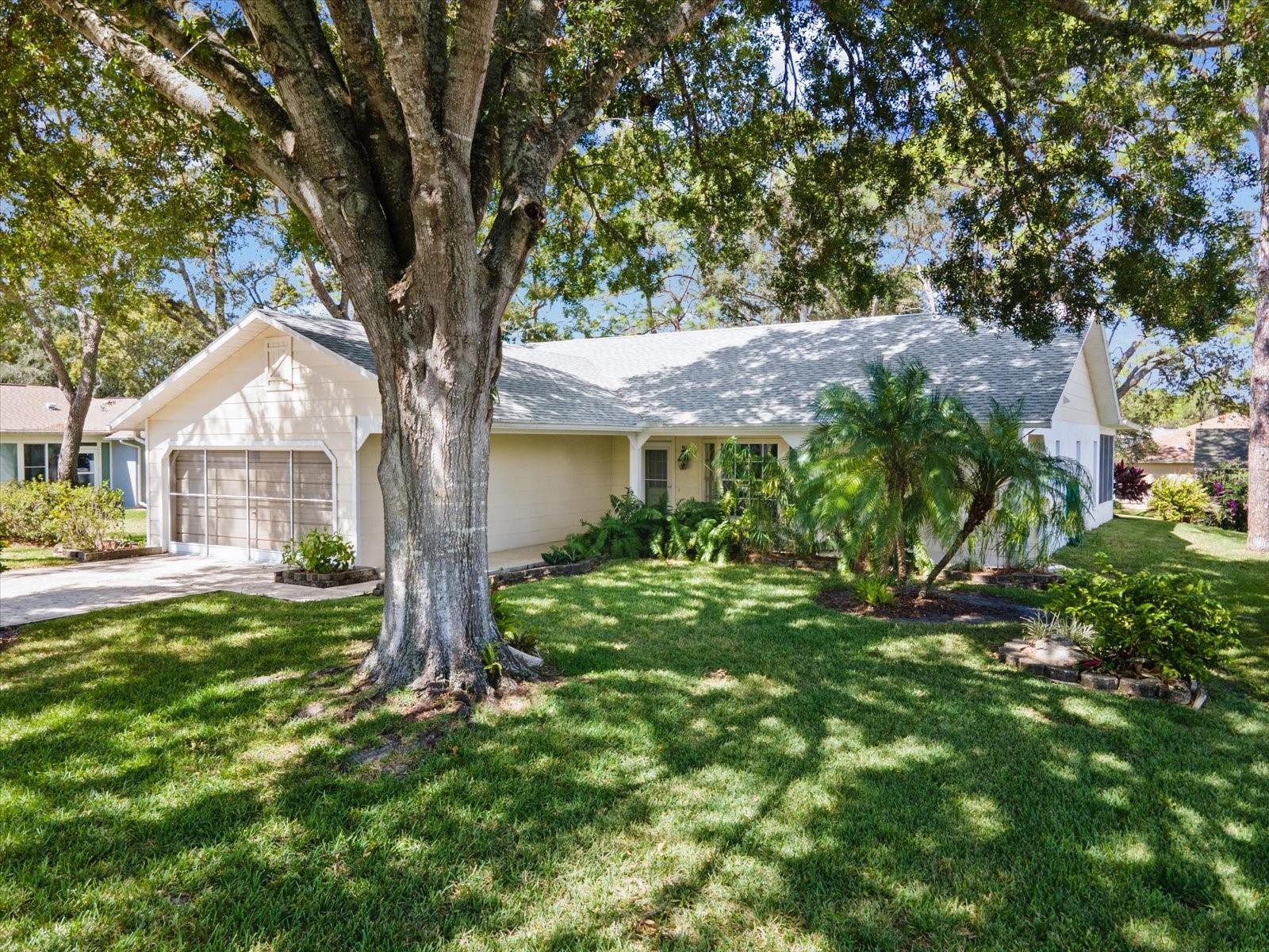 Image 43 of 96 For 6393 Lost Tree Lane