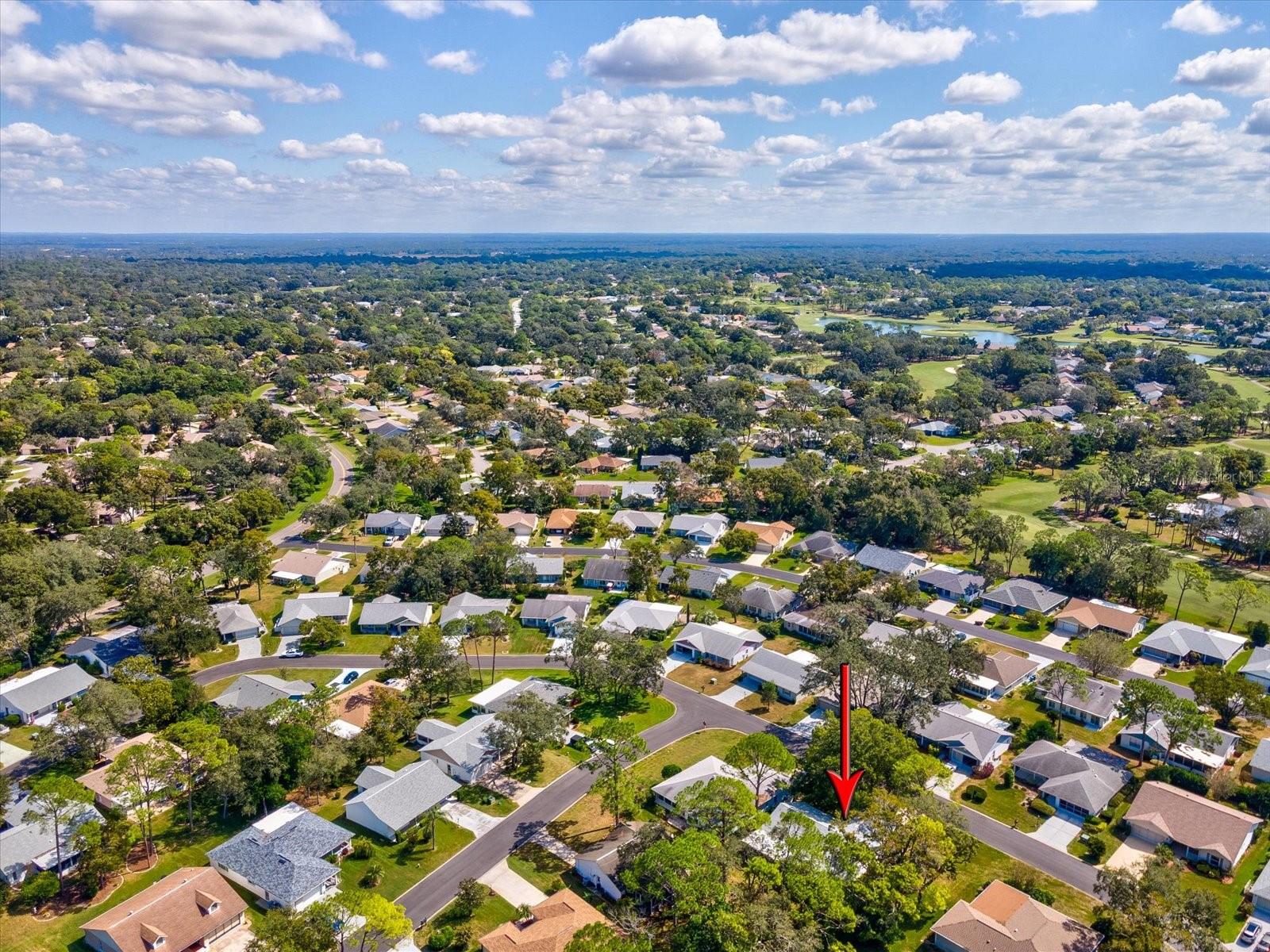 Image 50 of 96 For 6393 Lost Tree Lane