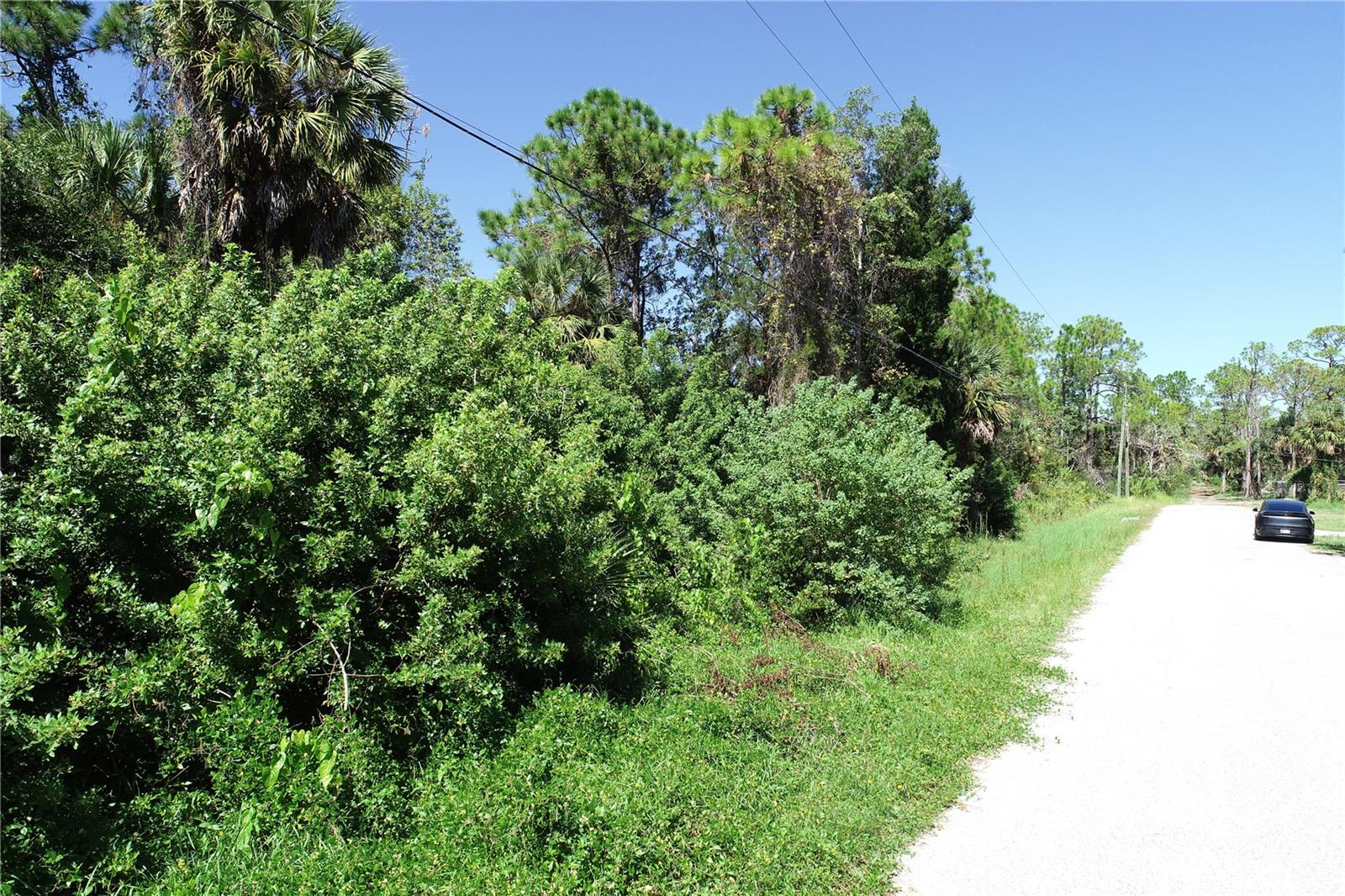 Image 14 of 20 For 34 Shark Street